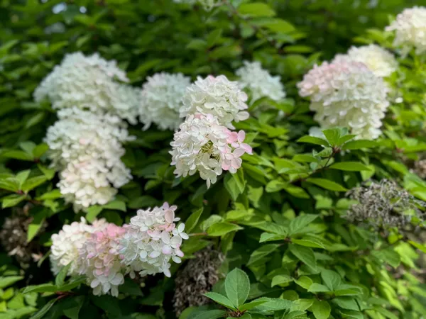 $300,000 | 205 Loomis Hill Road, Waterbury, VT 05677