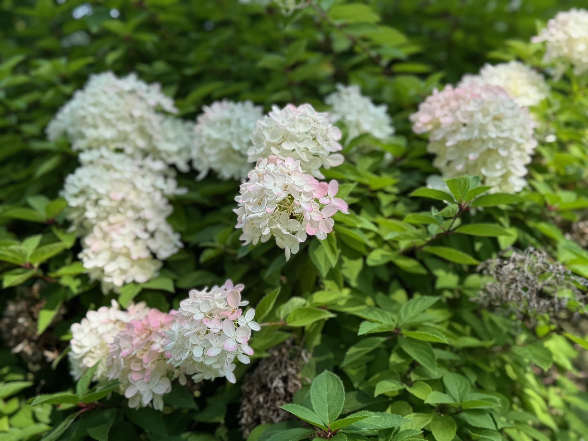 205 Loomis Hill Road Waterbury, VT 05677 - Photo 57 of 60