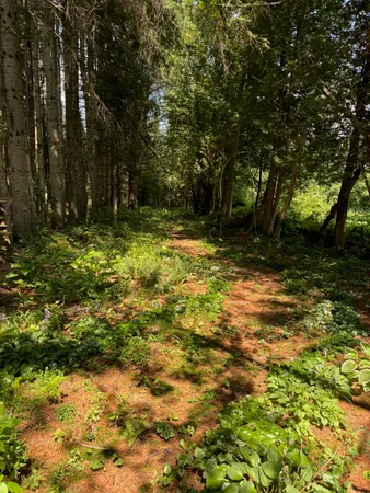 $300,000 | 205 Loomis Hill Road, Waterbury, VT 05677