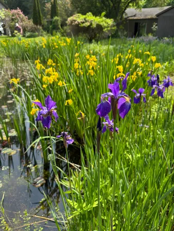 $300,000 | 205 Loomis Hill Road, Waterbury, VT 05677