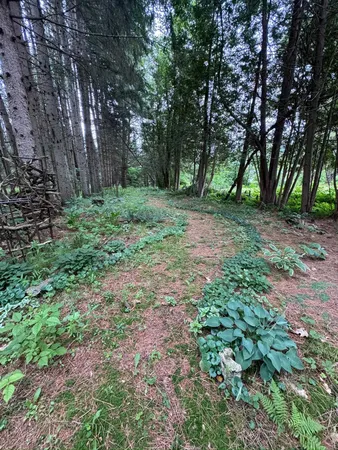 $300,000 | 205 Loomis Hill Road, Waterbury, VT 05677