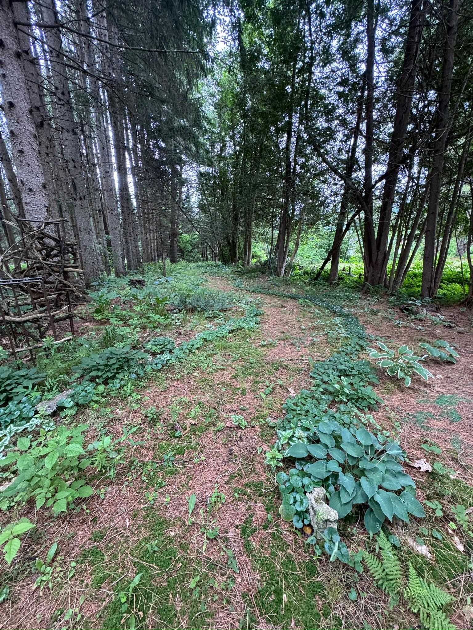 205 Loomis Hill Road Waterbury, VT 05677 - Photo 60 of 60