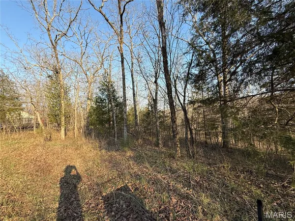 $20,000 | 88 North Deer Trail, Fredericktown, MO 63645