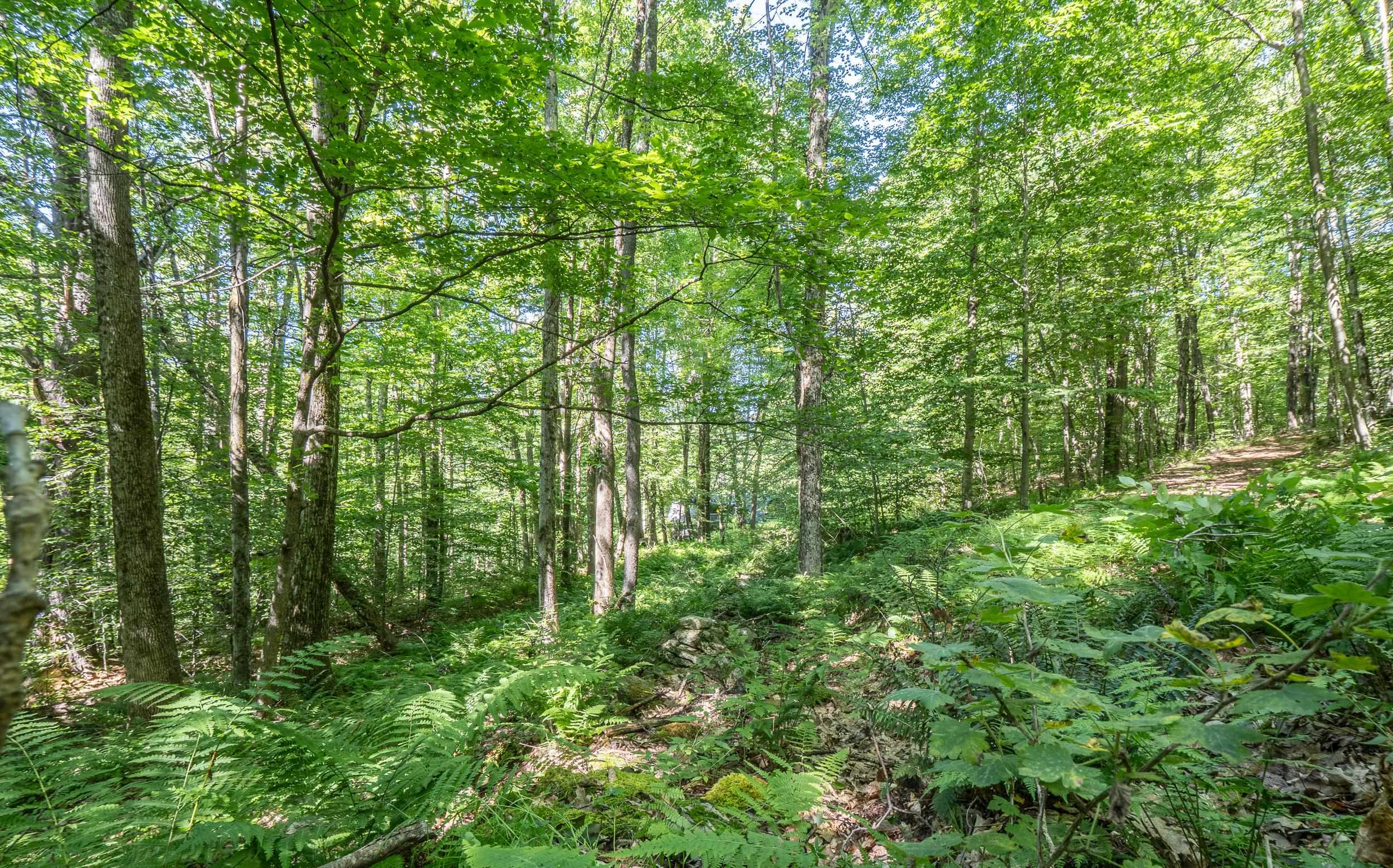 150 Mc Garron Road Middletown Springs, VT 05757 - Photo 11 of 13