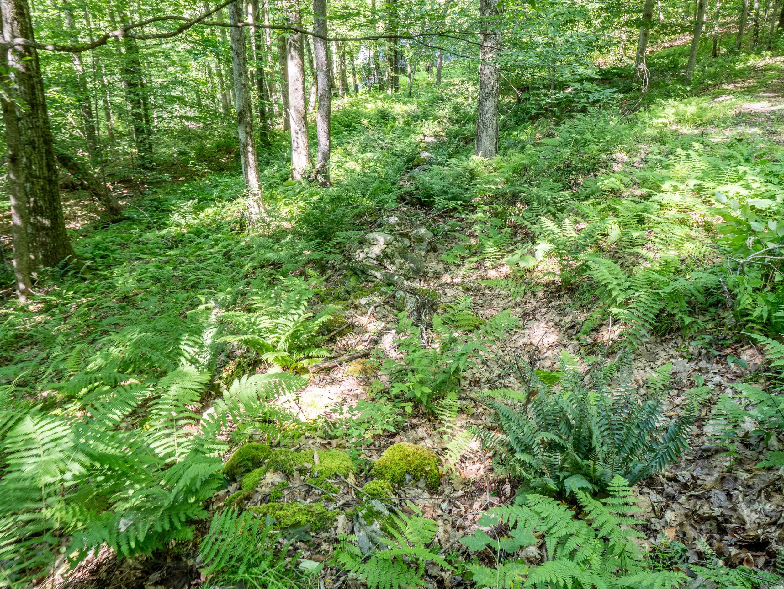 150 Mc Garron Road Middletown Springs, VT 05757 - Photo 12 of 13