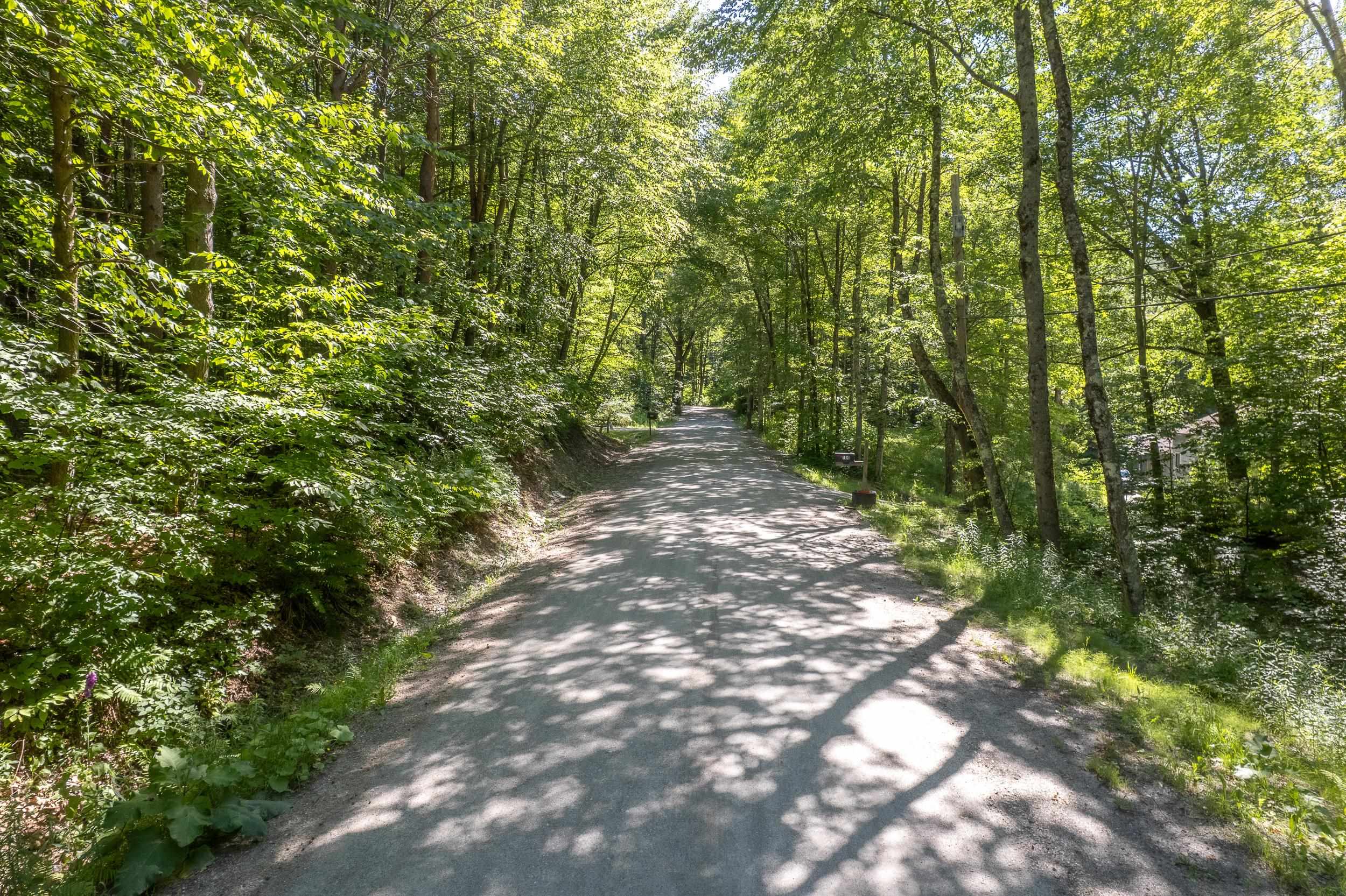 150 Mc Garron Road Middletown Springs, VT 05757 - Photo 2 of 13