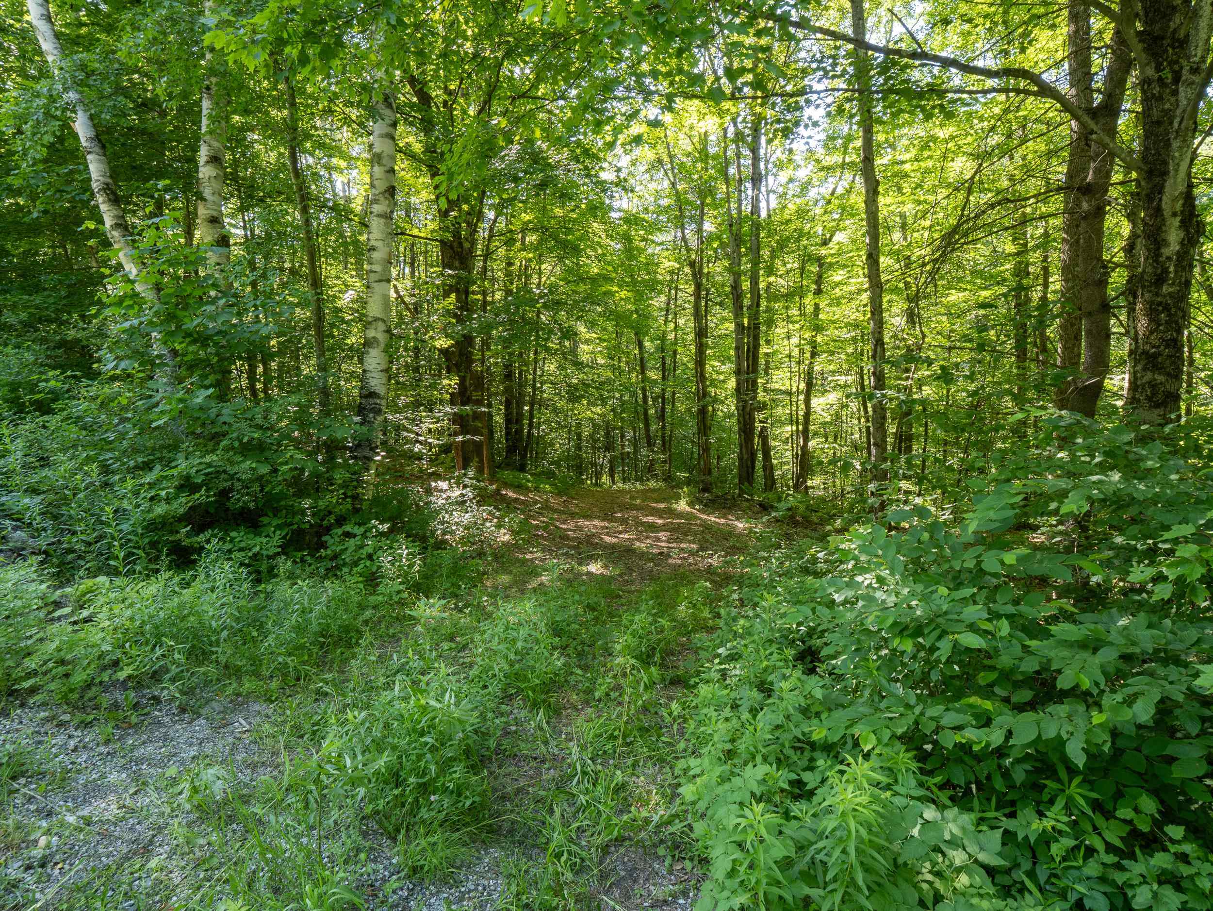 150 Mc Garron Road Middletown Springs, VT 05757 - Photo 3 of 13