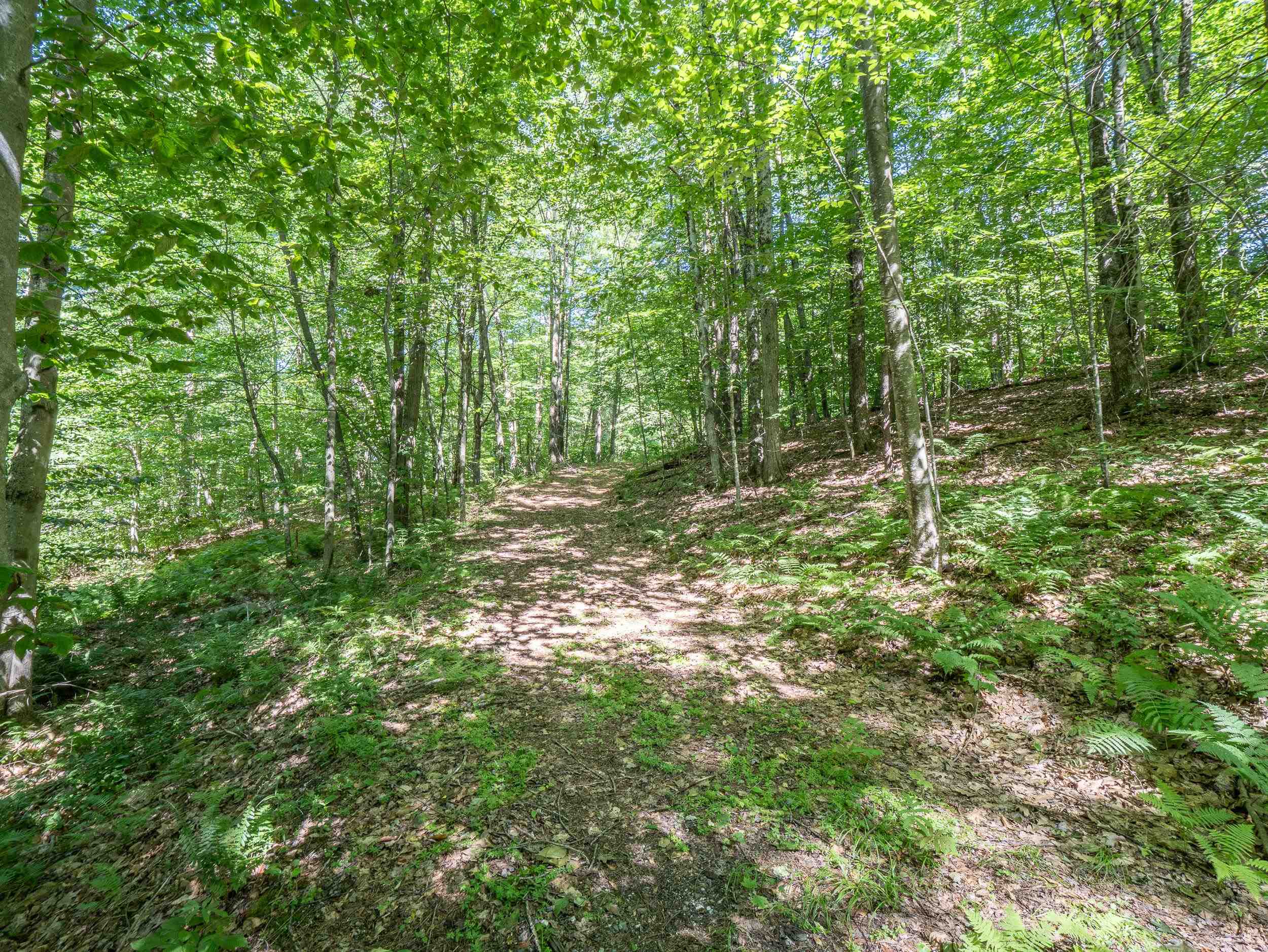 150 Mc Garron Road Middletown Springs, VT 05757 - Photo 4 of 13