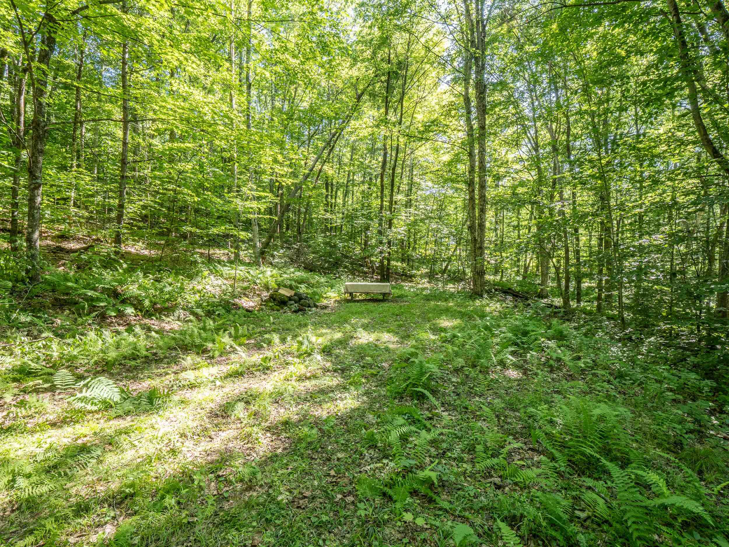 150 Mc Garron Road Middletown Springs, VT 05757 - Photo 5 of 13