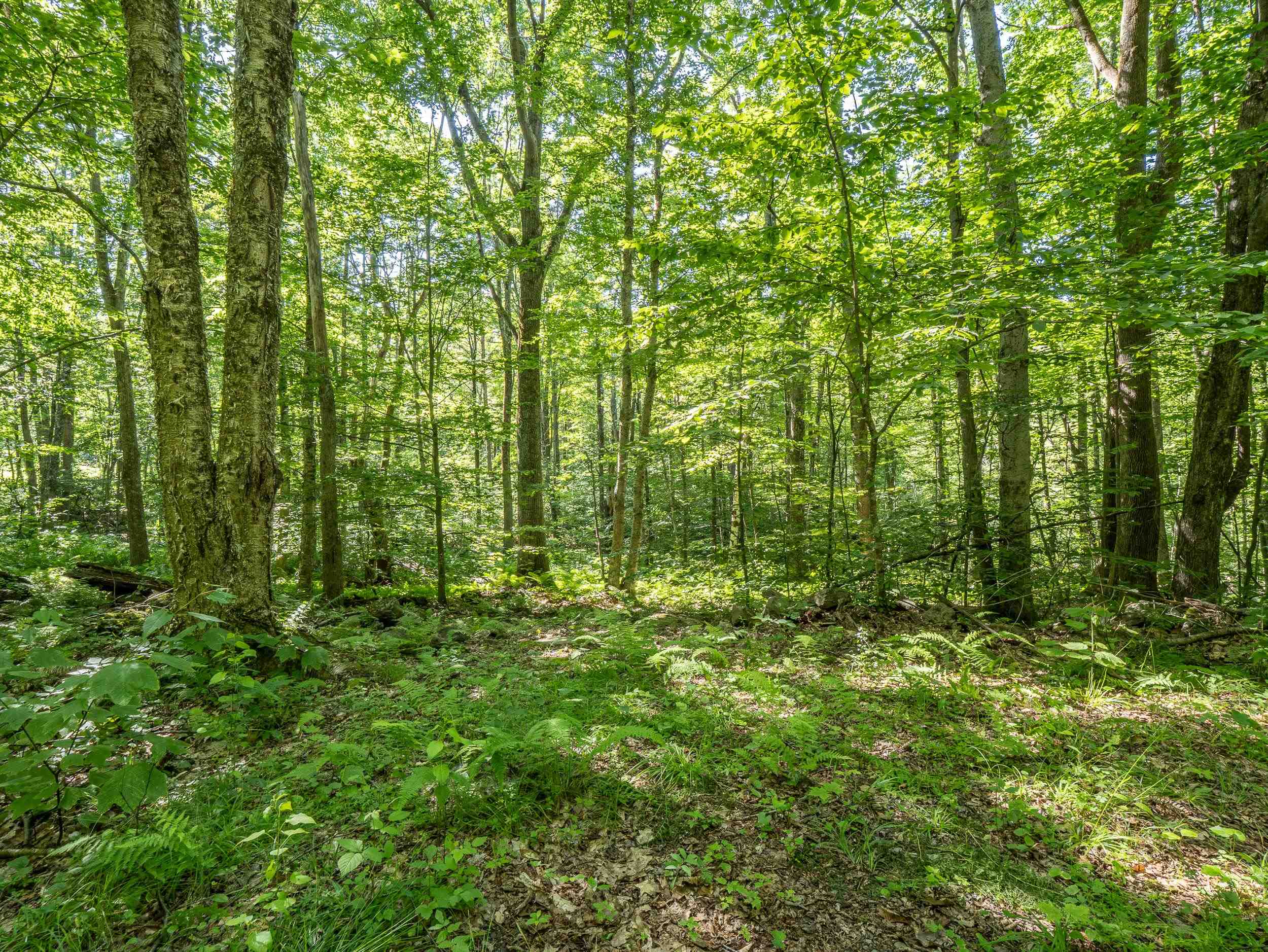 150 Mc Garron Road Middletown Springs, VT 05757 - Photo 6 of 13