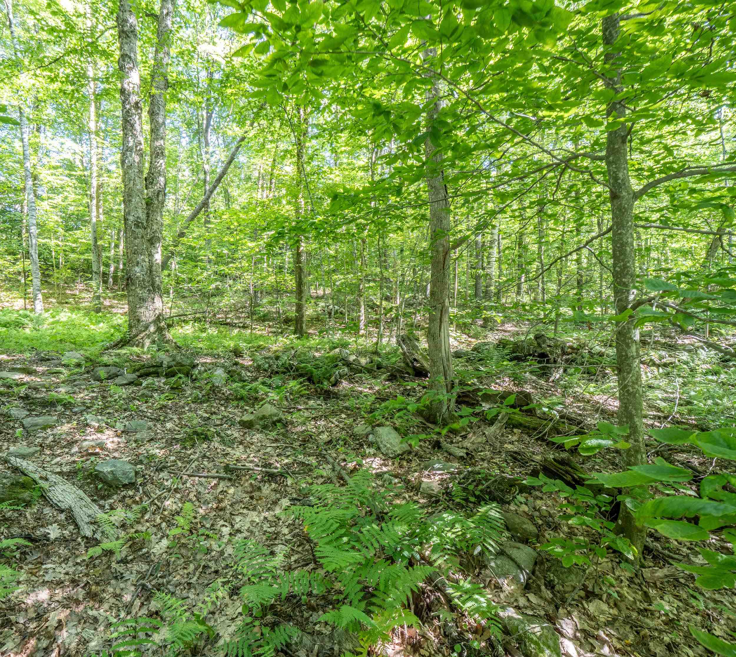 150 Mc Garron Road Middletown Springs, VT 05757 - Photo 8 of 13