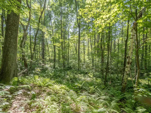 $67,500 | 150 Mc Garron Road, Middletown Springs, VT 05757