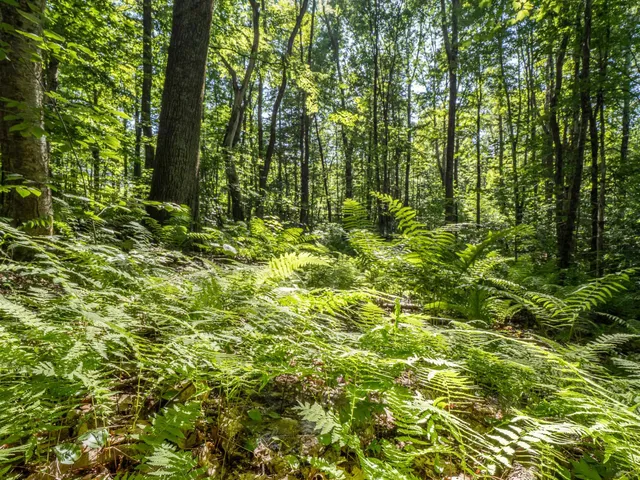 $67,500 | 150 Mc Garron Road, Middletown Springs, VT 05757