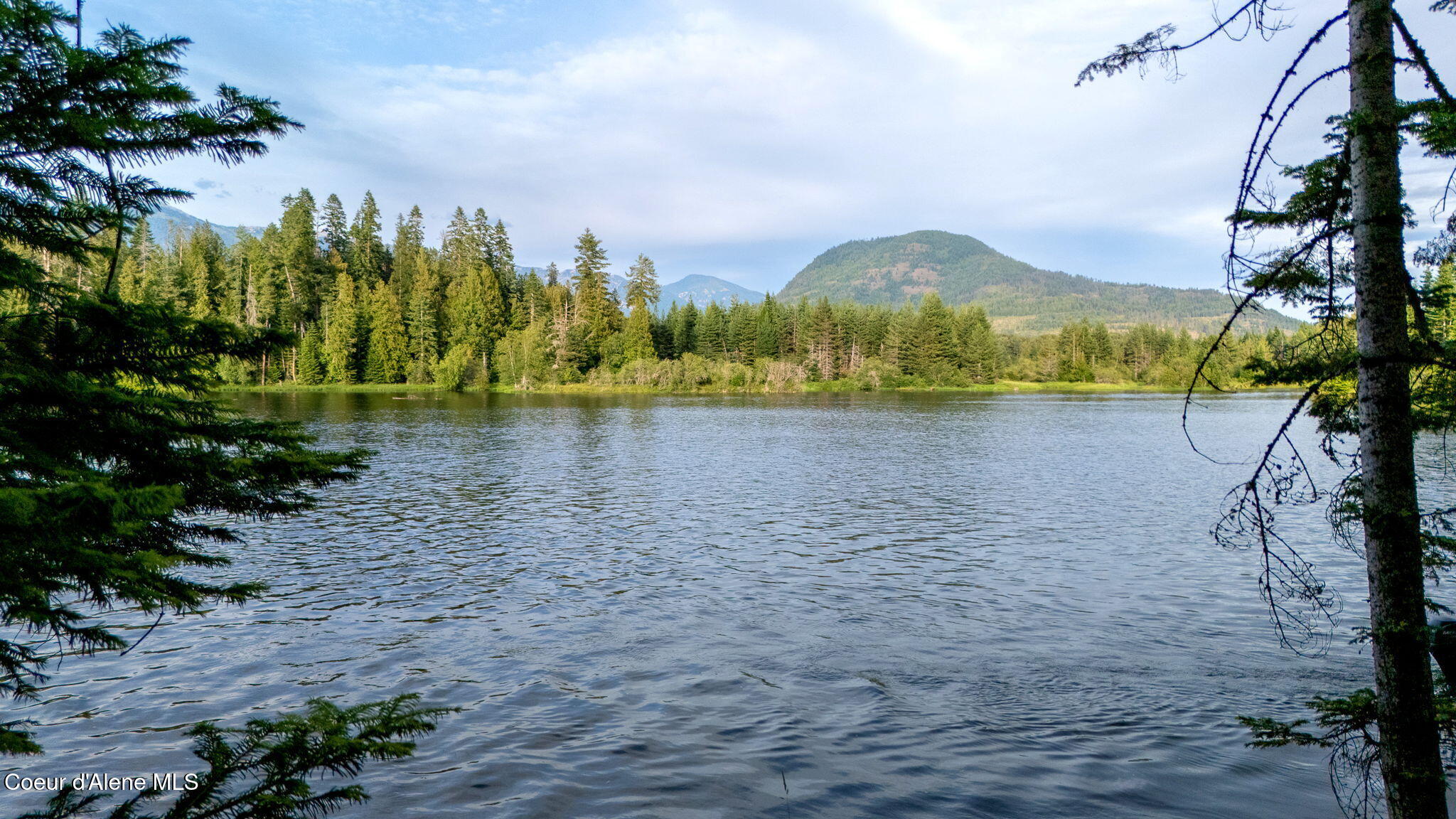 East Cf Delta Shore Clark Fork, ID 83811 - Photo 13 of 62 10-web-or-mls-SkyLight - Clark Fork (KL)
