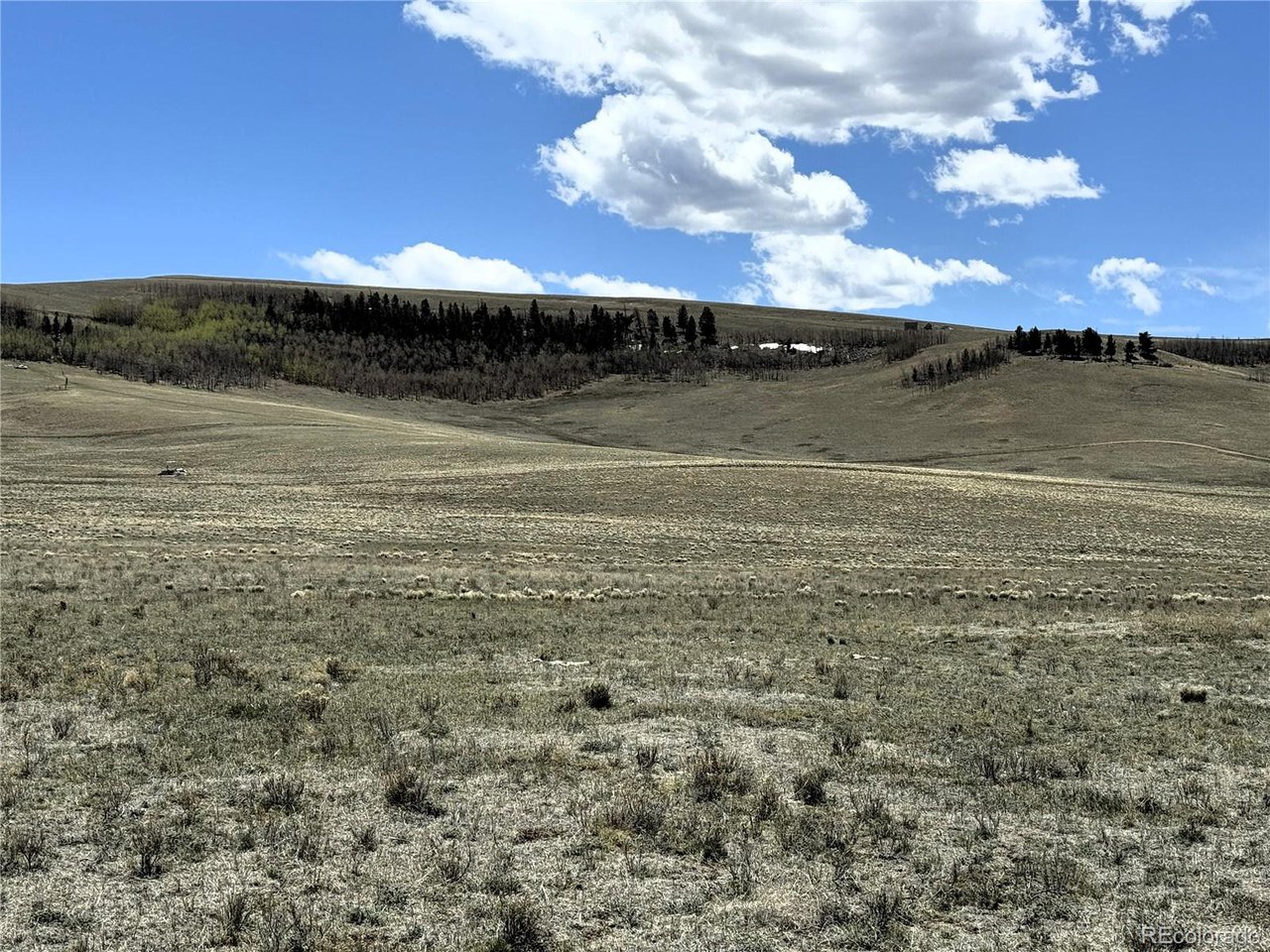 Wichita Trail Hartsel, CO 80449 - Photo 7 of 20 a view of lake