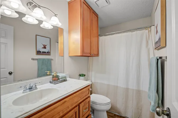 a bathroom with a sink a toilet and a mirror