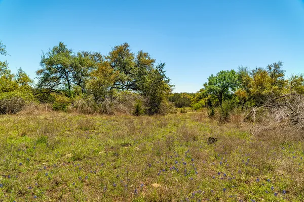 a view of a yard