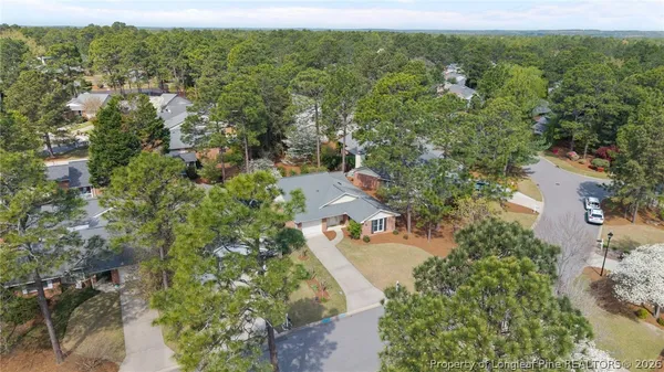 a aerial view of a house with a yard and potted plants