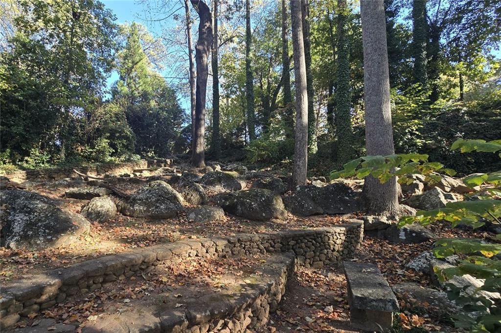 1418 Foxhall Lane Southeast, Unit 8 Atlanta, GA 30316 - Photo 10 of 50 a view of a forest with lots of trees