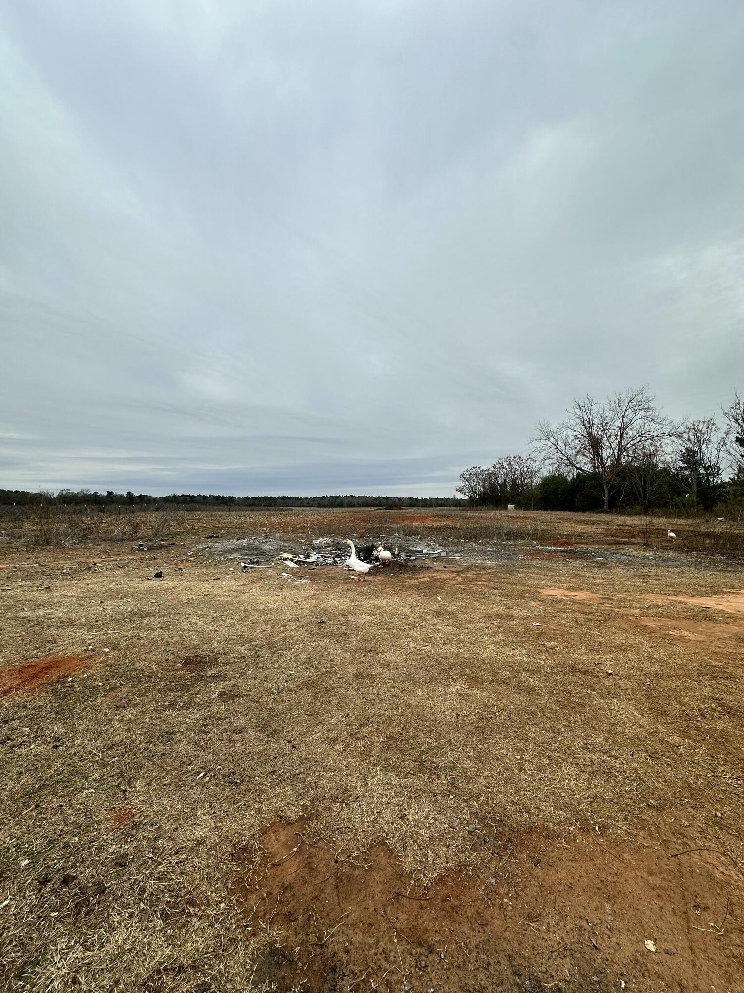 6995 Arthur Gayle Road Wedgefield, SC 29168 - Photo 27 of 59 IMG_8394