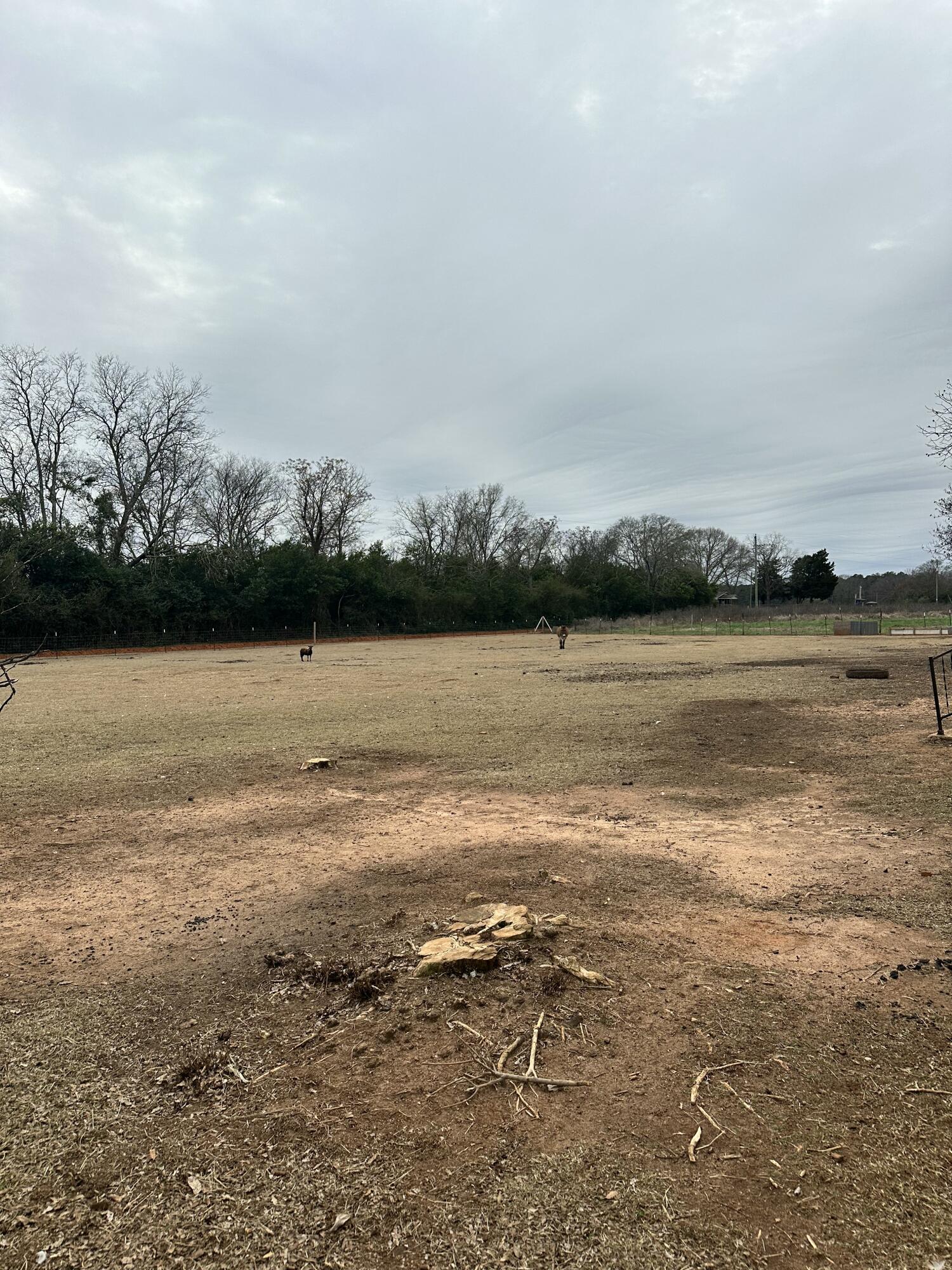 6995 Arthur Gayle Road Wedgefield, SC 29168 - Photo 32 of 59 IMG_8400