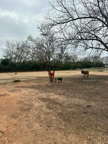 $300,000 | 6995 Arthur Gayle Road, Wedgefield, SC 29168