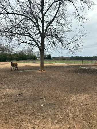 $300,000 | 6995 Arthur Gayle Road, Wedgefield, SC 29168