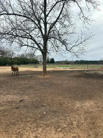 $300,000 | 6995 Arthur Gayle Road, Wedgefield, SC 29168