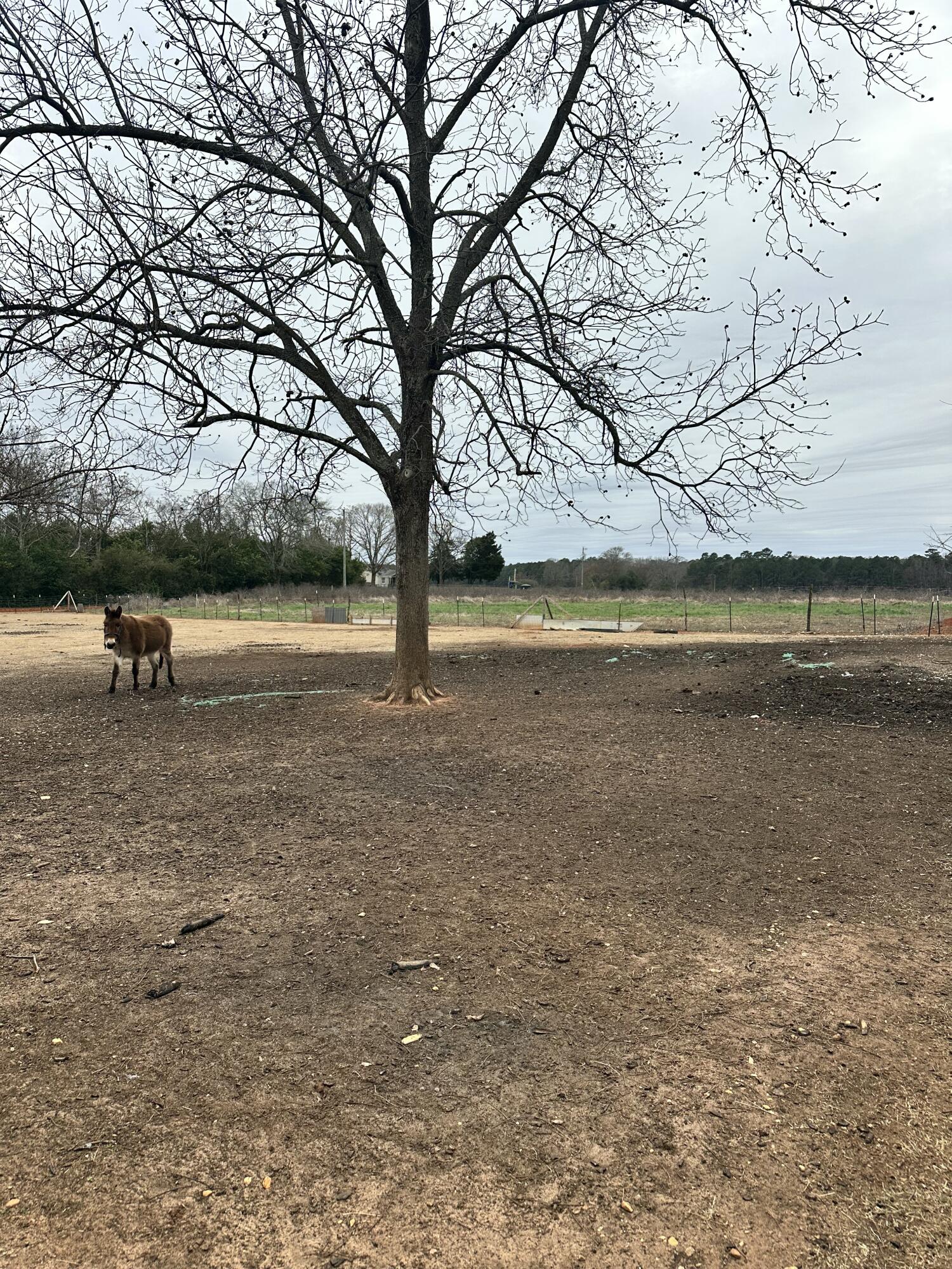 6995 Arthur Gayle Road Wedgefield, SC 29168 - Photo 37 of 59 IMG_8405