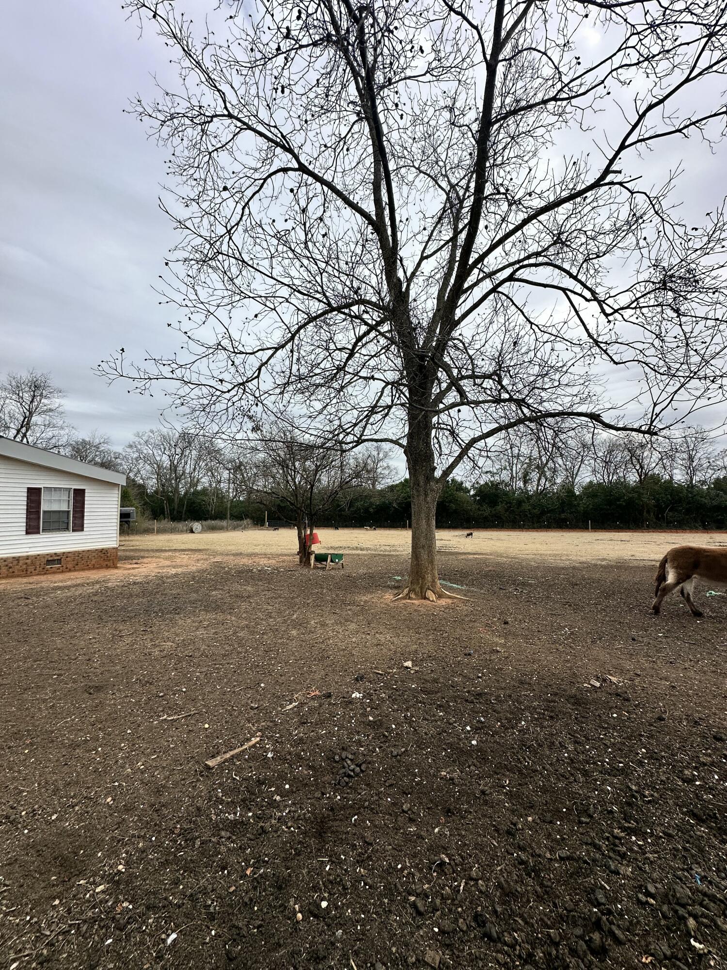 6995 Arthur Gayle Road Wedgefield, SC 29168 - Photo 40 of 59 IMG_8408