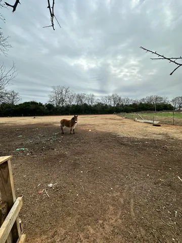 $300,000 | 6995 Arthur Gayle Road, Wedgefield, SC 29168