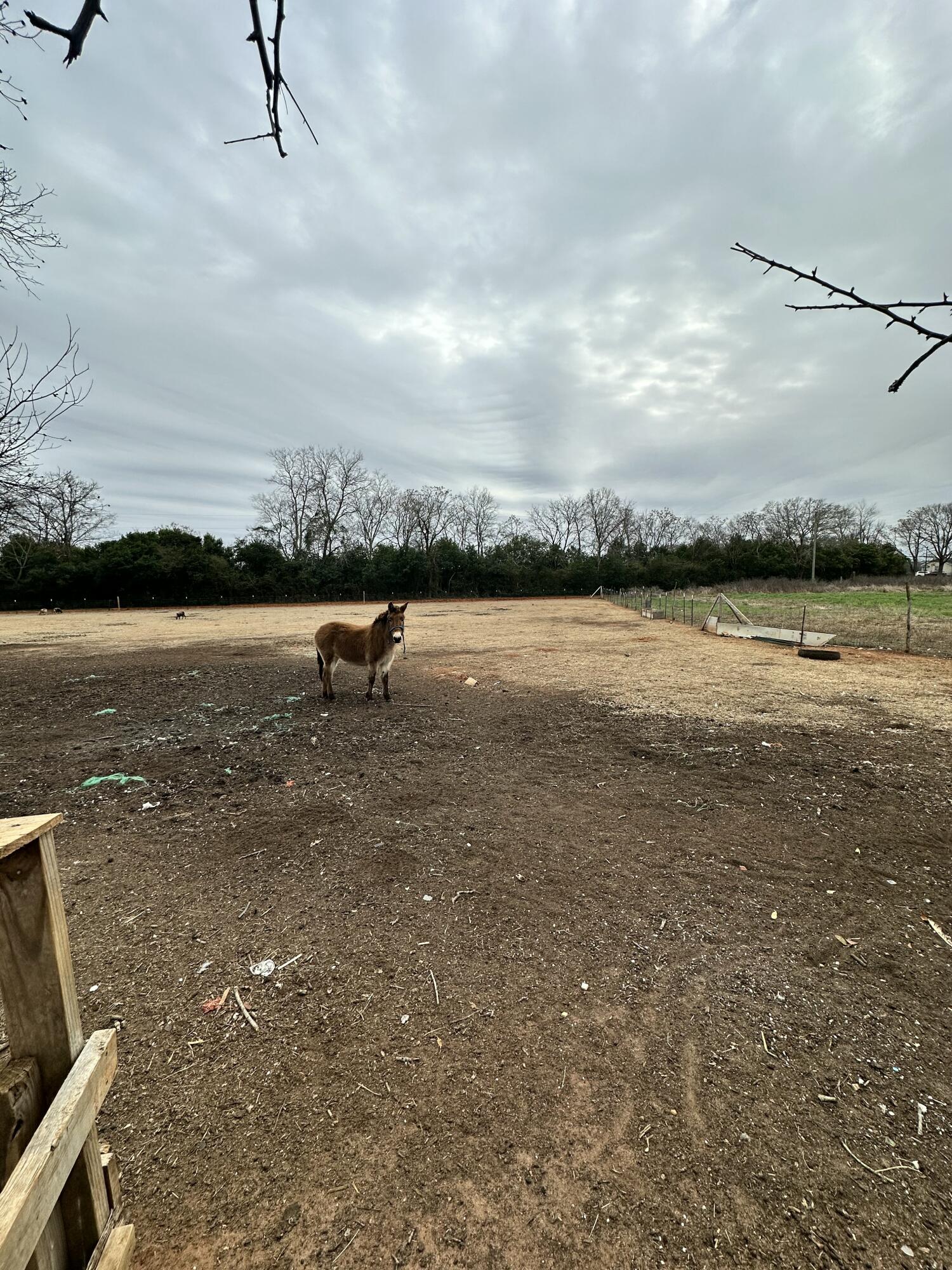 6995 Arthur Gayle Road Wedgefield, SC 29168 - Photo 41 of 59 IMG_8409