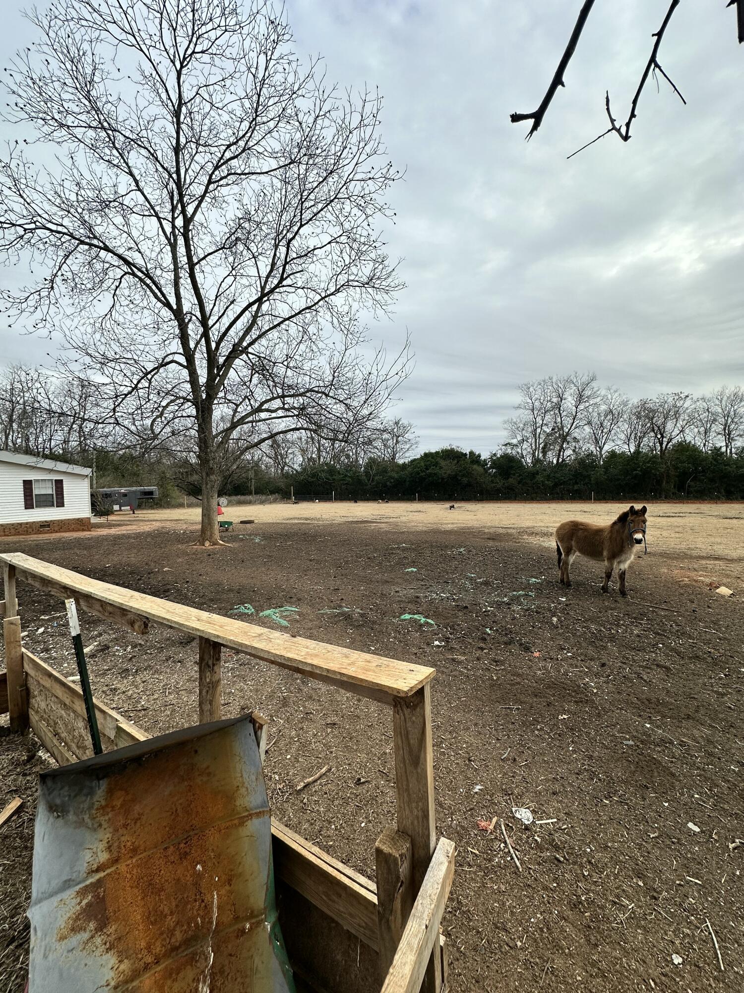 6995 Arthur Gayle Road Wedgefield, SC 29168 - Photo 42 of 59 IMG_8410