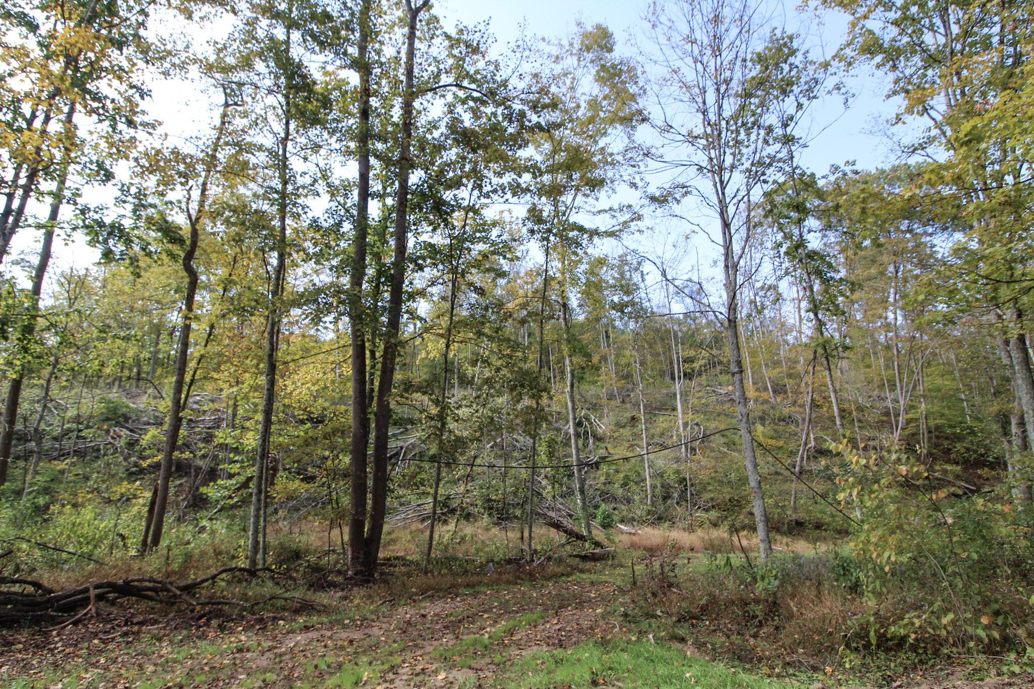 0 Cow Run Road Marietta, OH 45750 - Photo 6 of 17 5-IMG_9099