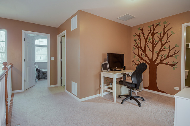 3844 Munson Street Plano, IL 60545 - Photo 9 of 23