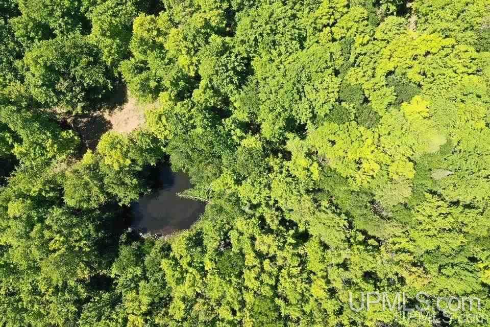 Tbd Tbd Saari Road Lanse, MI 49946 - Photo 2 of 27