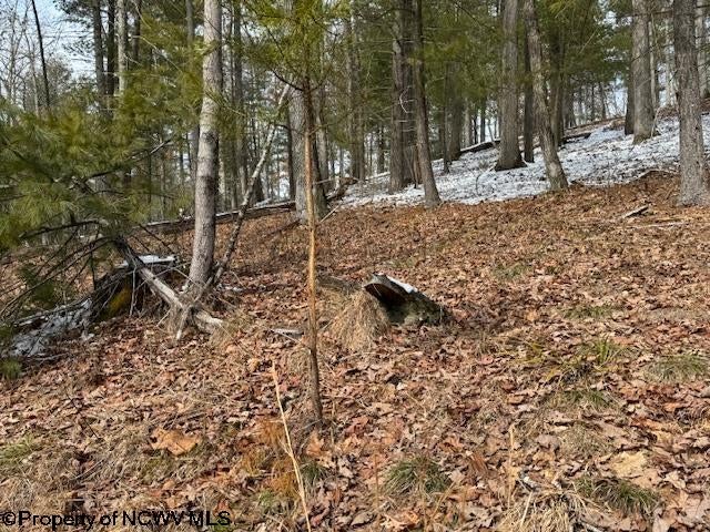 1 Spruce Run Poca, WV 25159 - Photo 22 of 38 Gallery Image 22