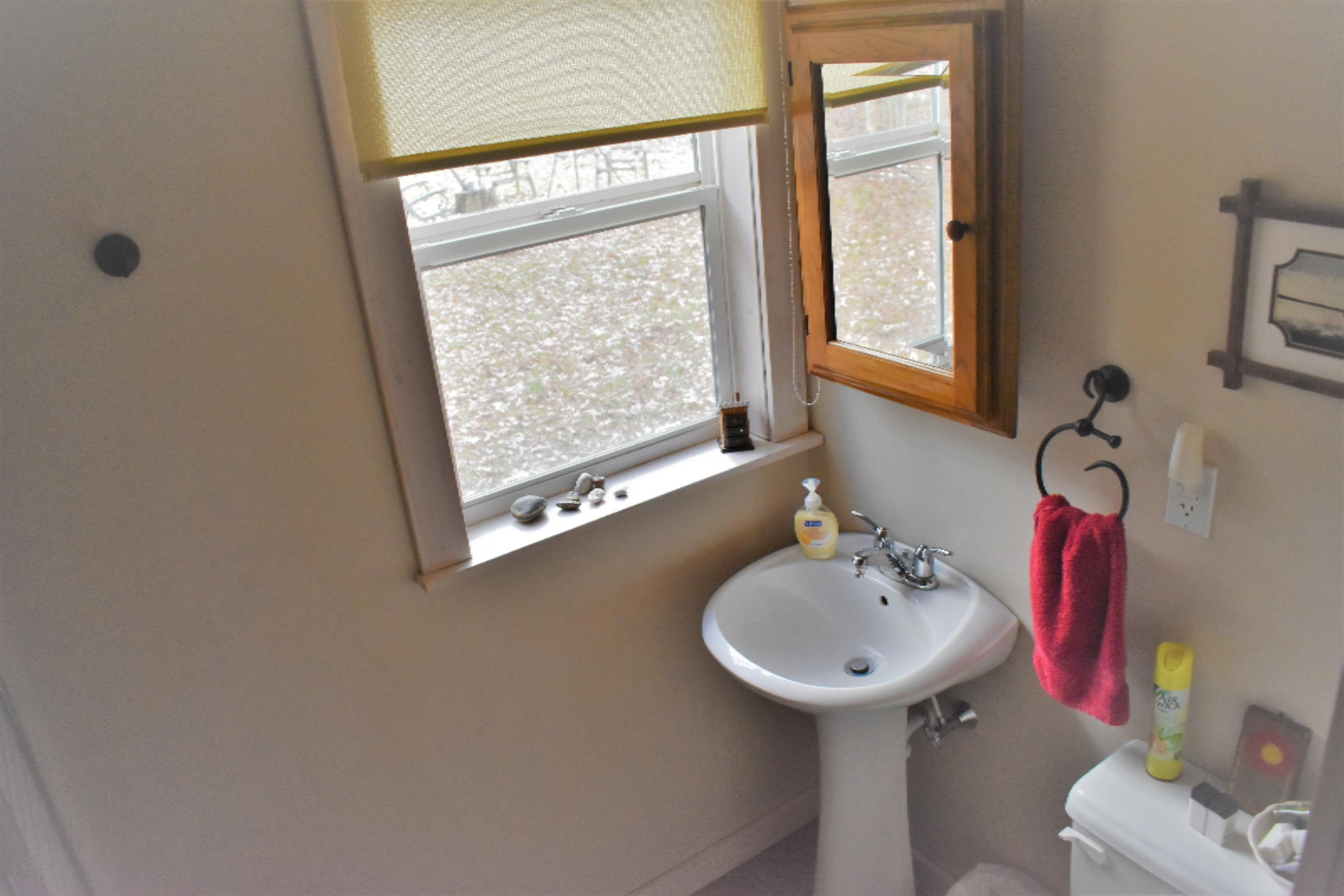 8079 North Granger Road Irons, MI 49644 - Photo 20 of 41 DSC_0460