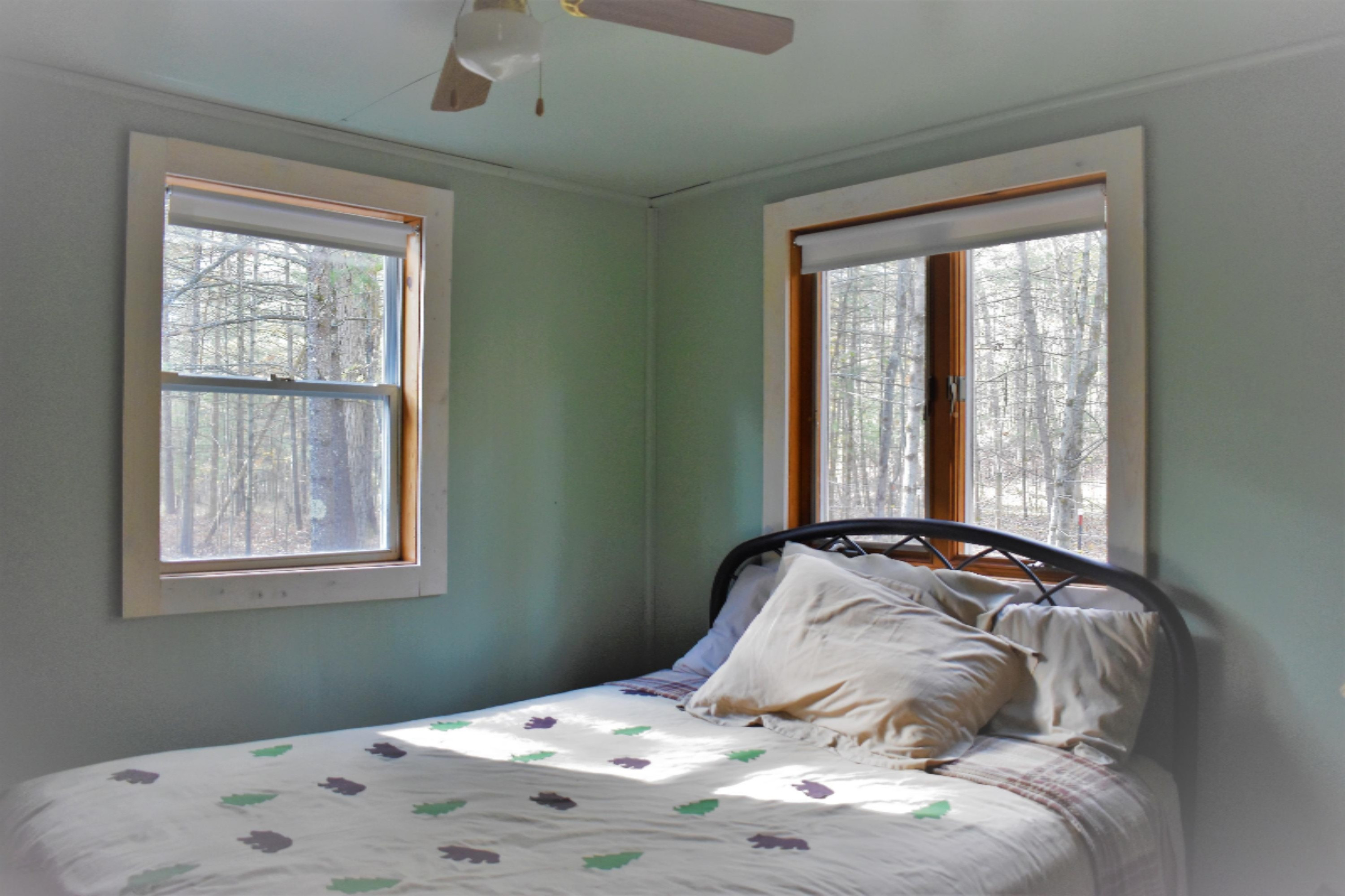 8079 North Granger Road Irons, MI 49644 - Photo 23 of 41 DSC_0468