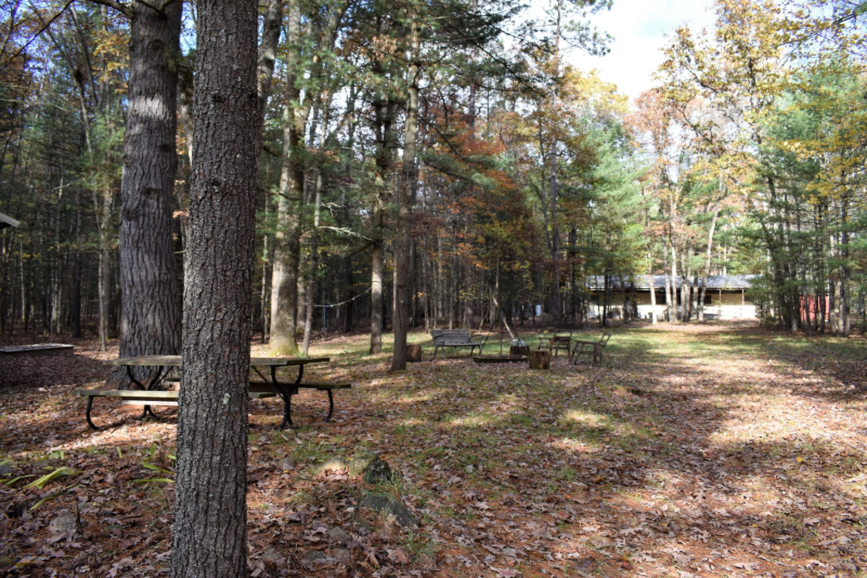 8079 North Granger Road Irons, MI 49644 - Photo 29 of 41 DSC_0479