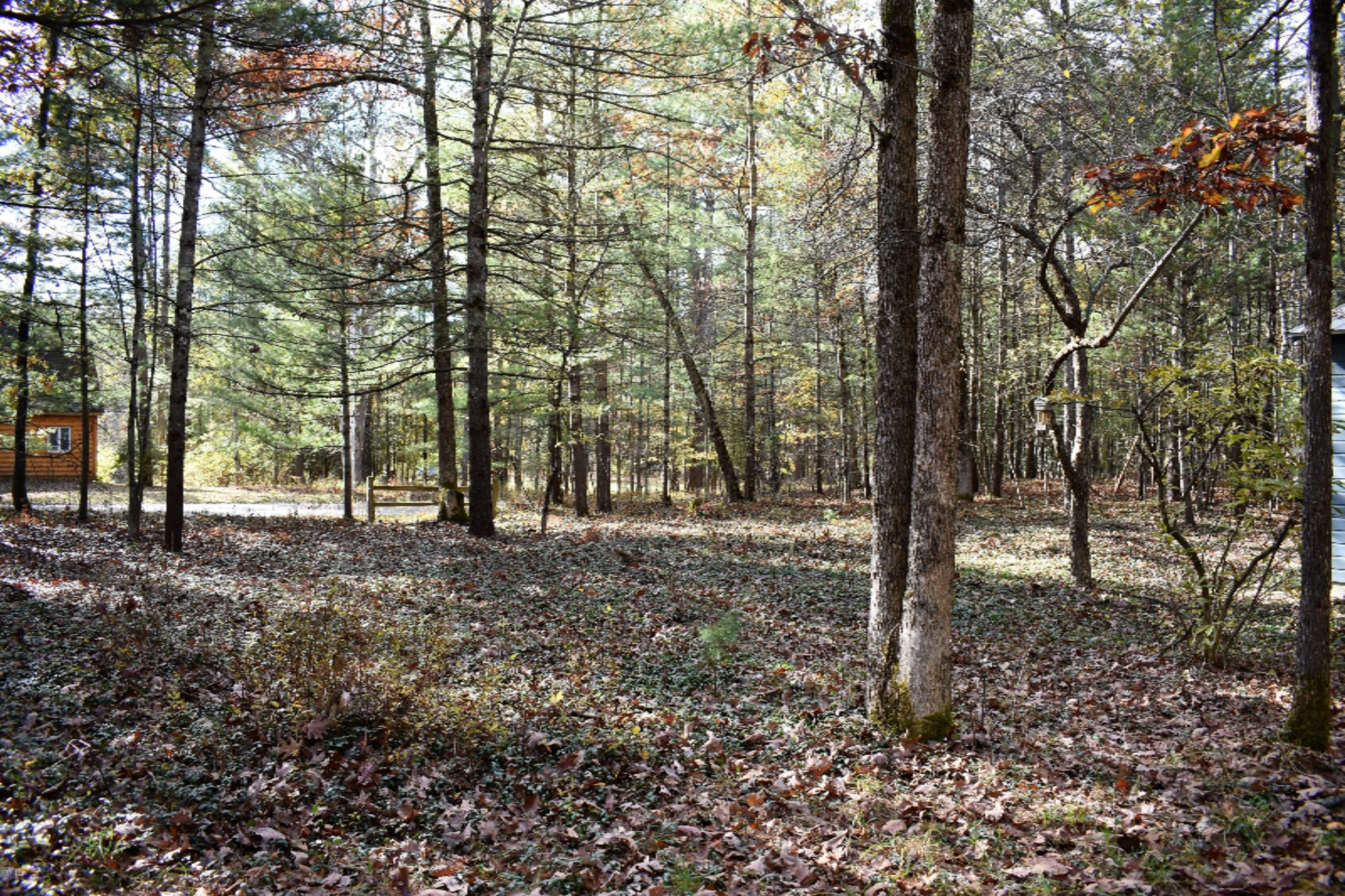 8079 North Granger Road Irons, MI 49644 - Photo 31 of 41 DSC_0478