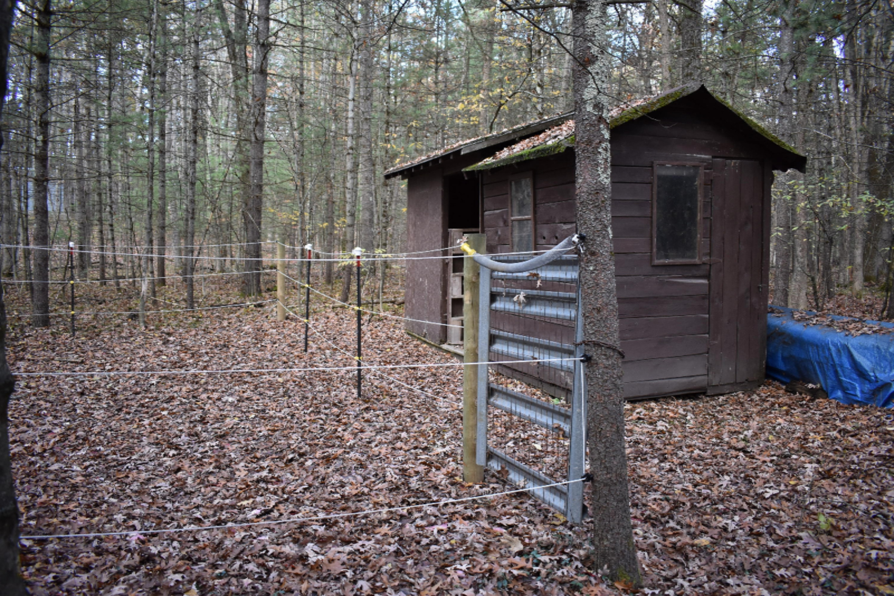 8079 North Granger Road Irons, MI 49644 - Photo 33 of 41 DSC_0435