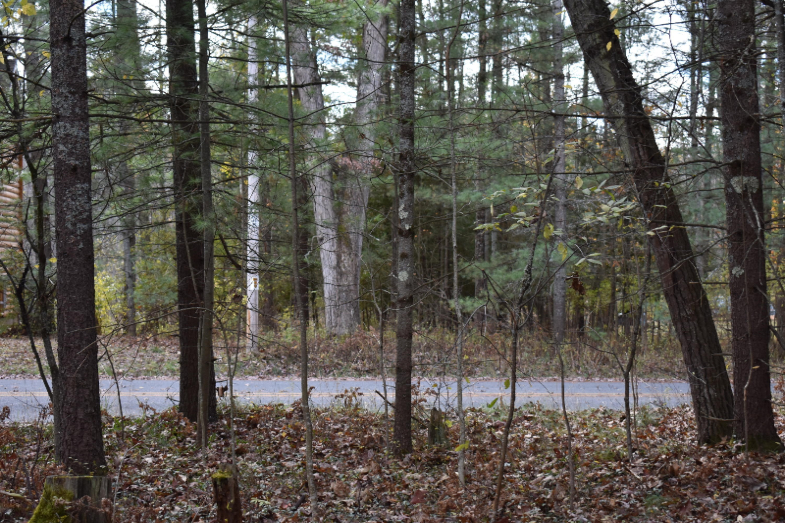 8079 North Granger Road Irons, MI 49644 - Photo 35 of 41 DSC_0440