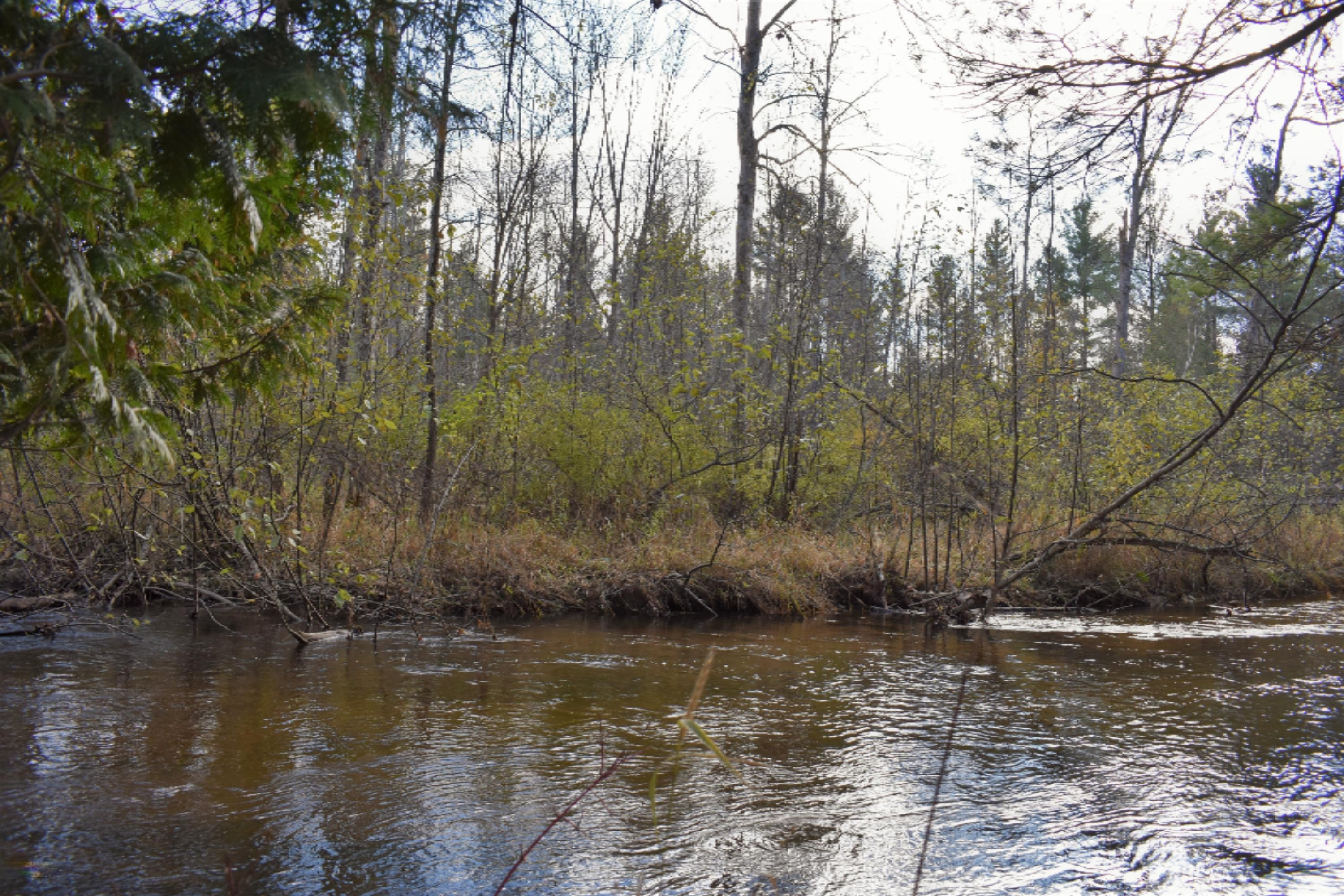 8079 North Granger Road Irons, MI 49644 - Photo 39 of 41 DSC_0490