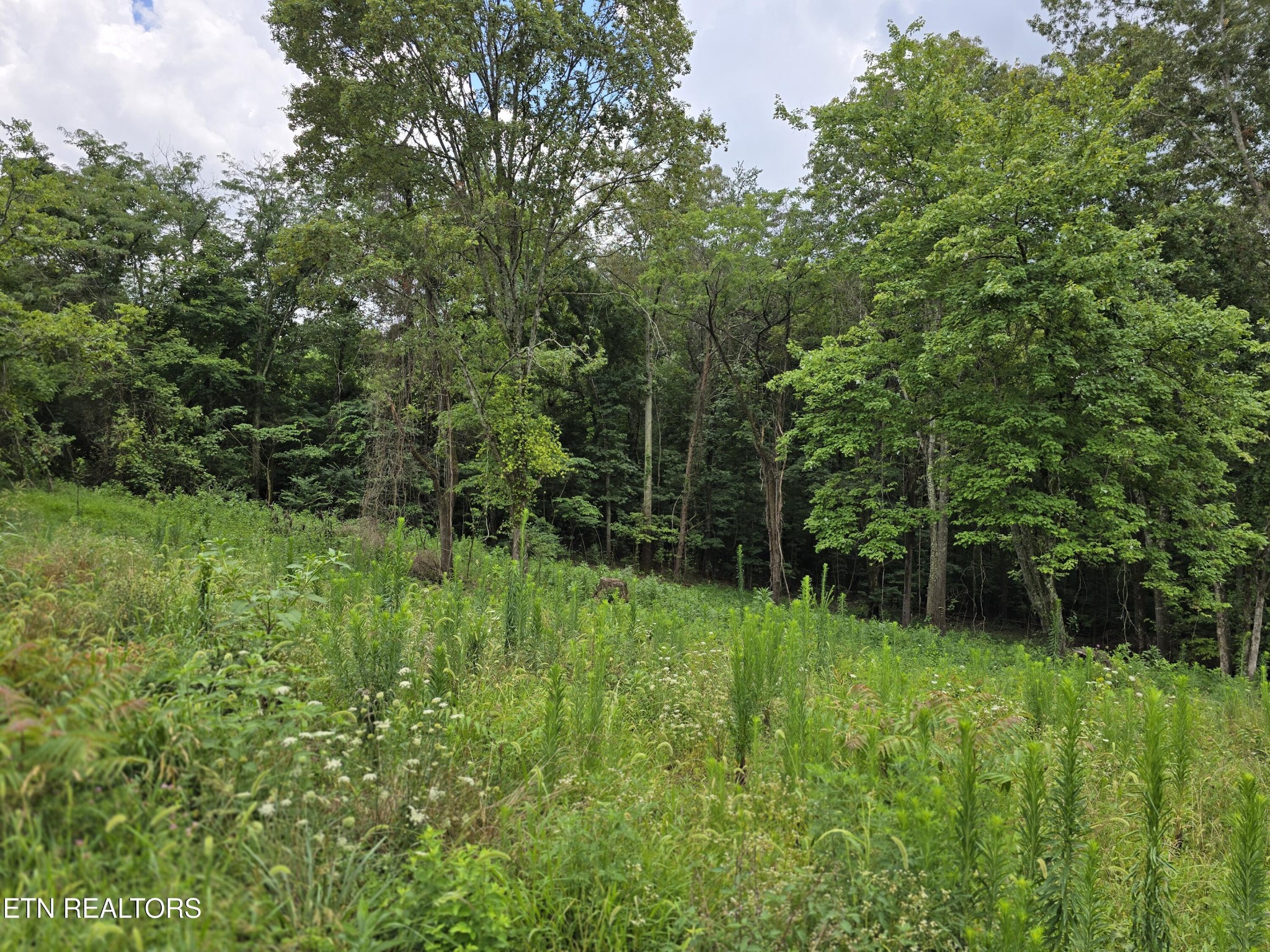 270 Wells Road Powell, TN 37849 - Photo 3 of 14 Gallery Image 3