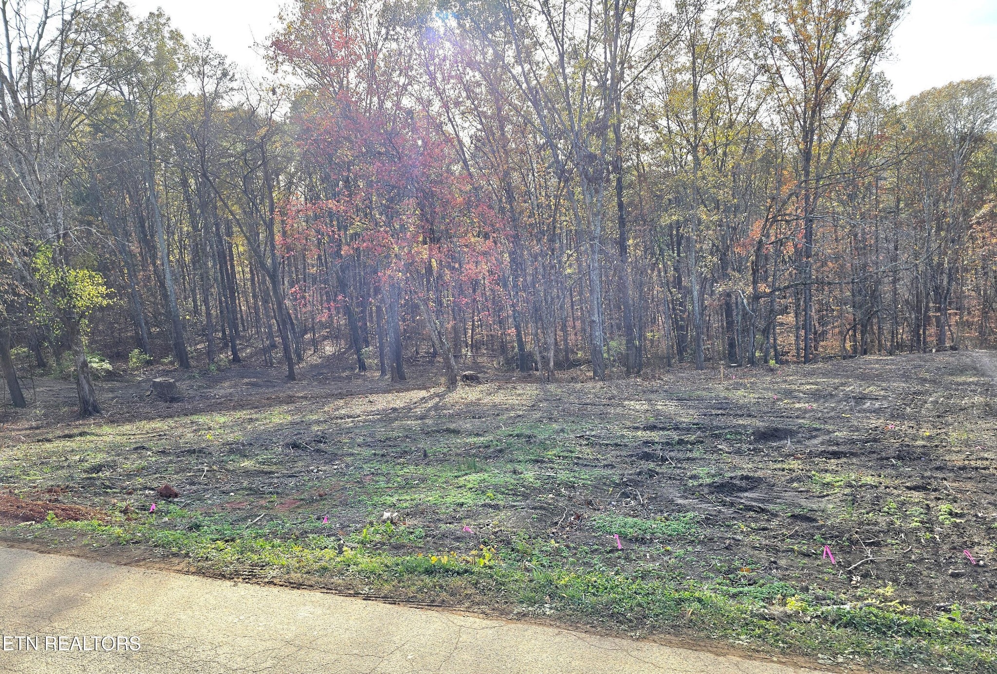 270 Wells Road Powell, TN 37849 - Photo 4 of 14 Gallery Image 4