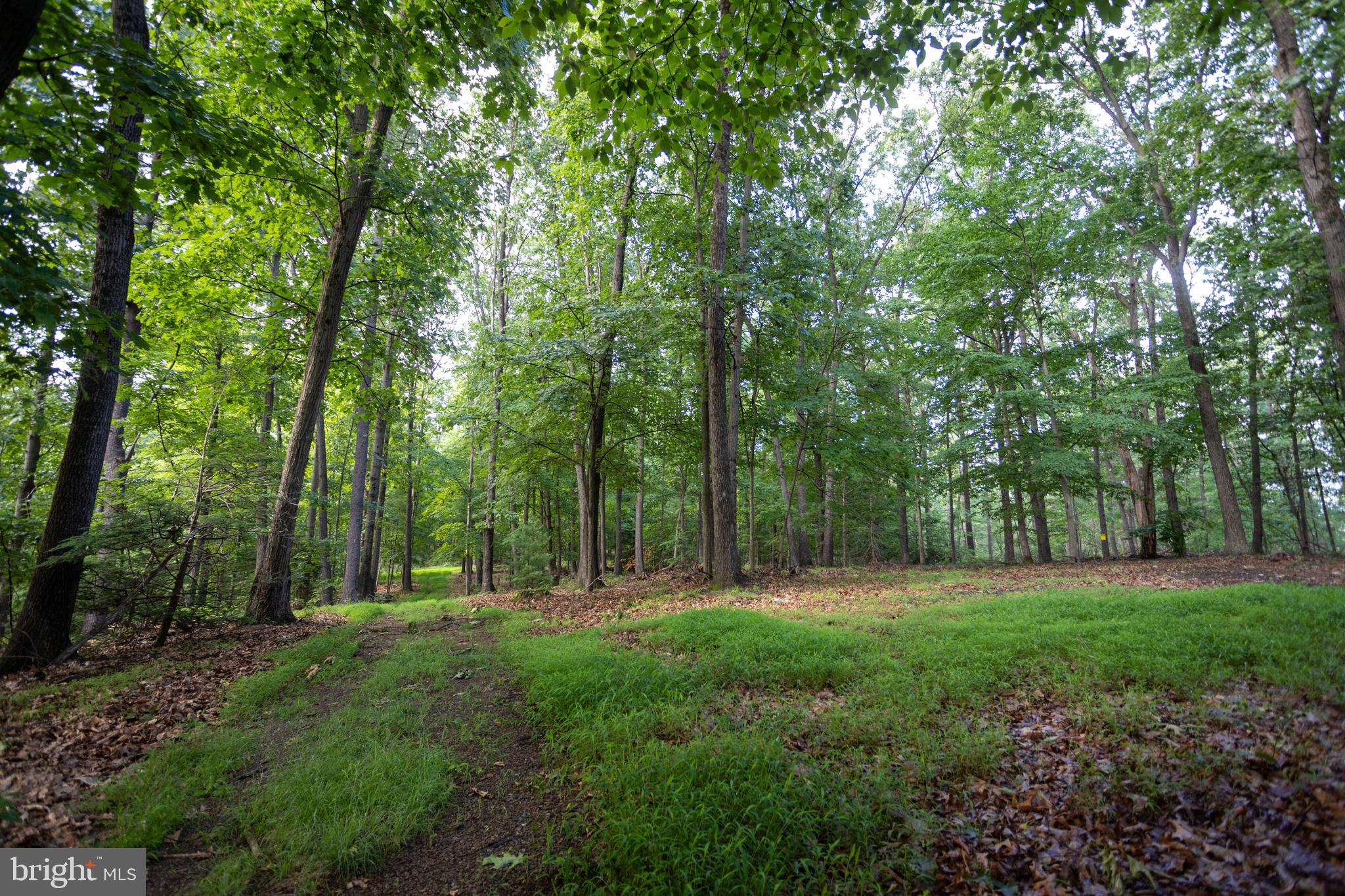 3125 Buckwheat Road Millerstown, PA 17062 - Photo 27 of 38