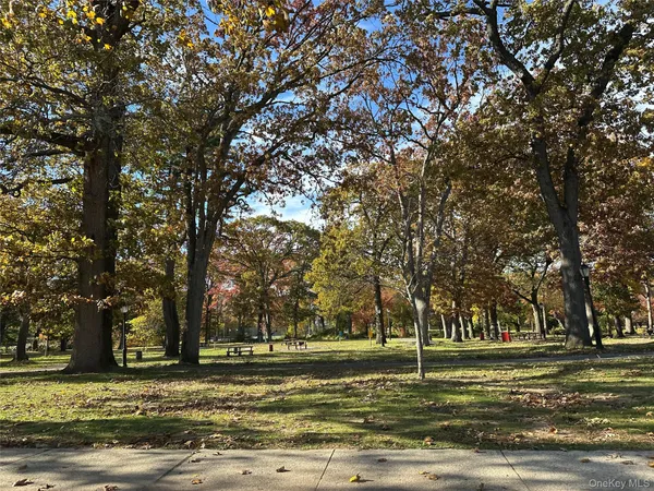 a view of a sink in a yard with large trees
