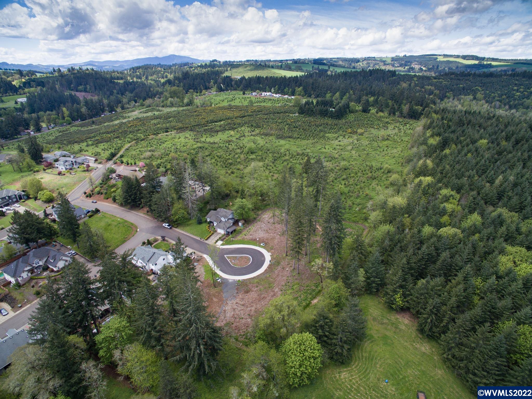 1498 Strawberry Ridge Sweet Home, OR 97386 - Photo 18 of 22