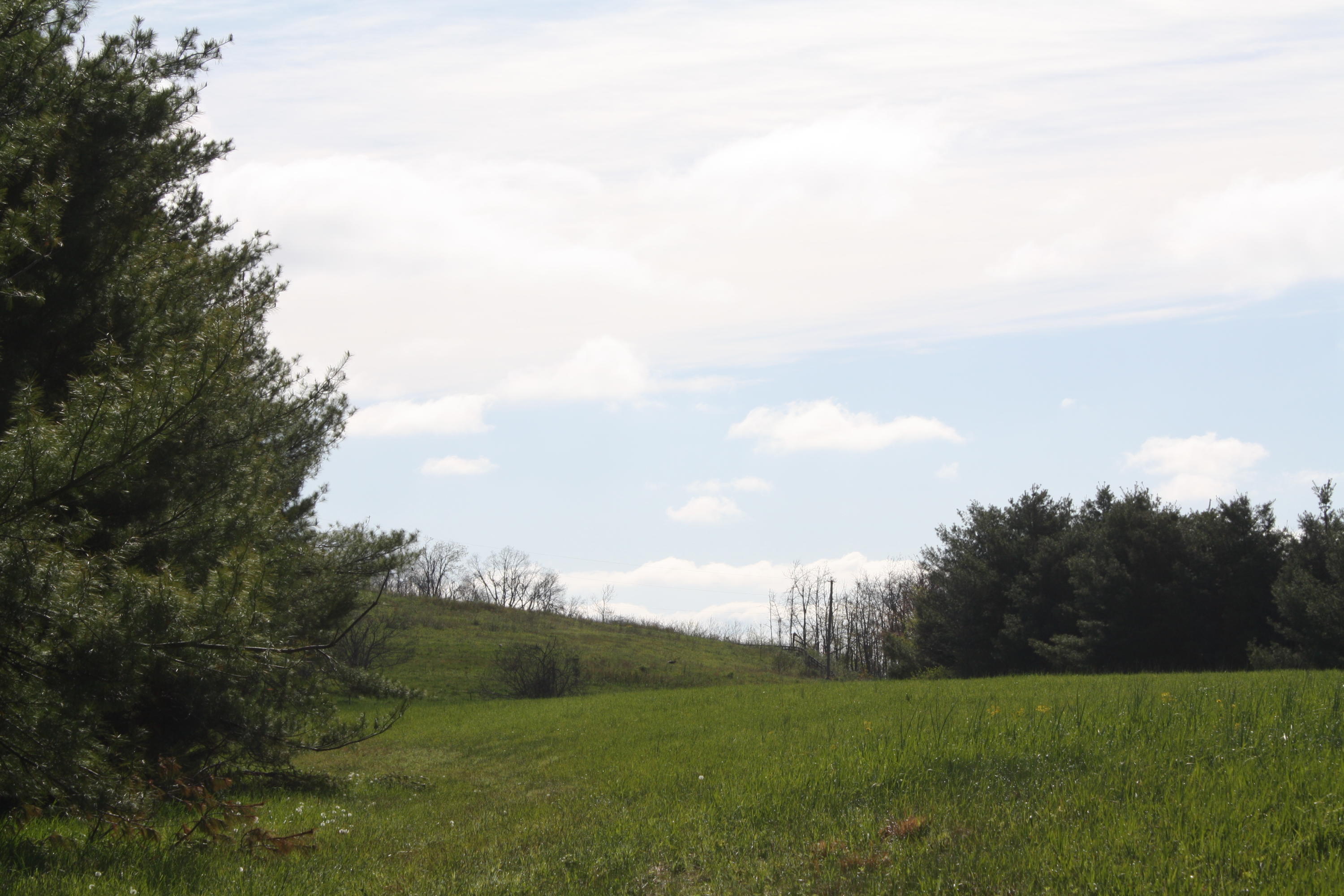 1161 Plumley Mountain Road Sandstone, WV 25985 - Photo 67 of 138 Gallery Image 67